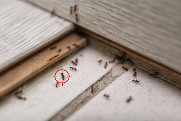 Best Pest Prevention Services  in Willoughby, OH