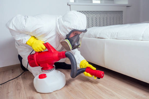 Trusted Willoughby, OH Pest Control Experts