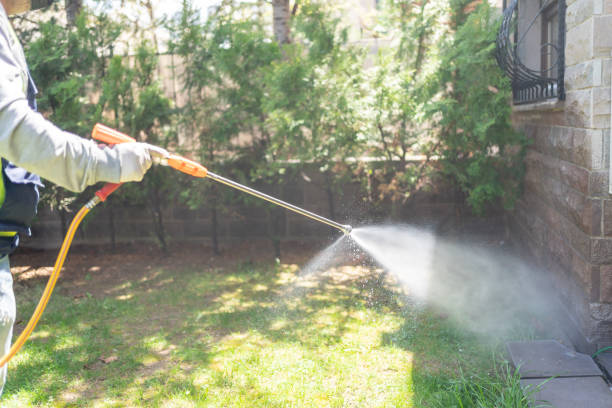 Best Spider Control Near Me  in Willoughby, OH
