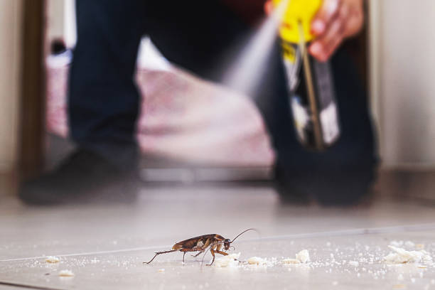 Pest Prevention Services in Willoughby, OH