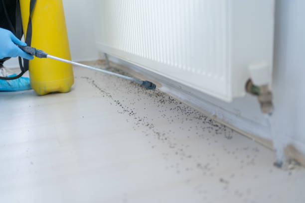 Best Bed Bug Extermination  in Willoughby, OH
