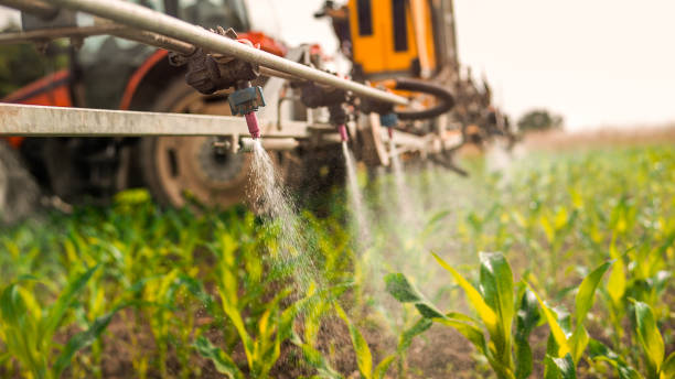 Best Ant Control Services  in Willoughby, OH
